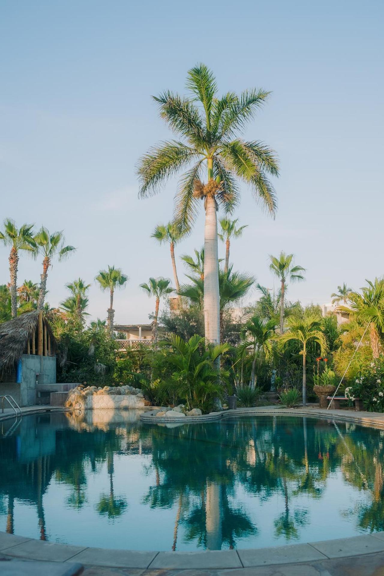La Poza Boutique Hotel And Spa - Adults 15 Plus Todos Santos Exterior foto